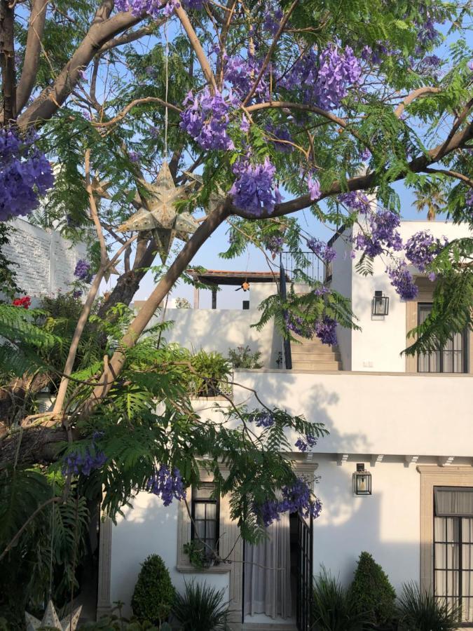 Casa Lani Luxury B&B San Miguel de Allende Exterior photo