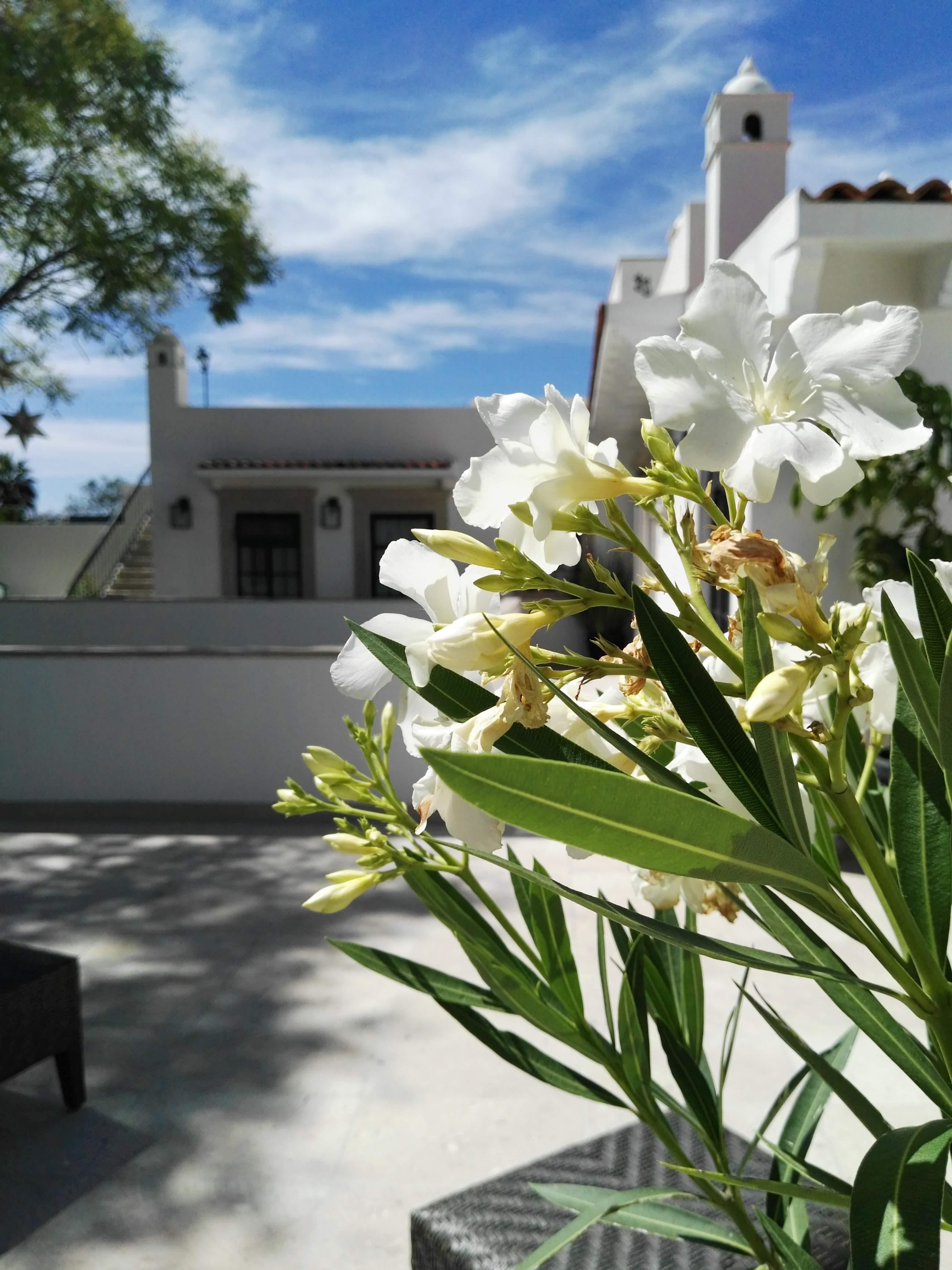 Casa Lani Luxury B&B San Miguel de Allende Exterior photo