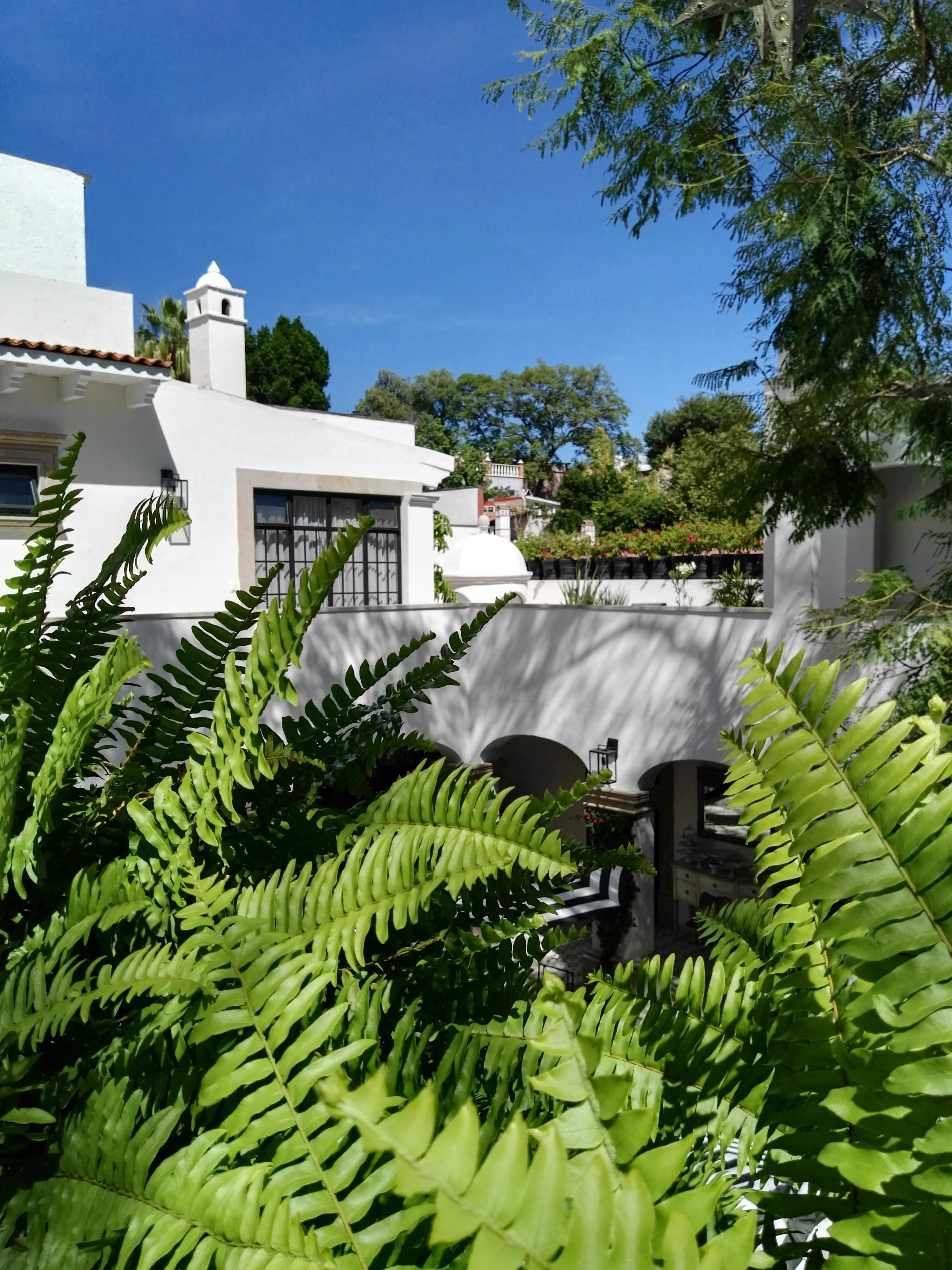 Casa Lani Luxury B&B San Miguel de Allende Exterior photo